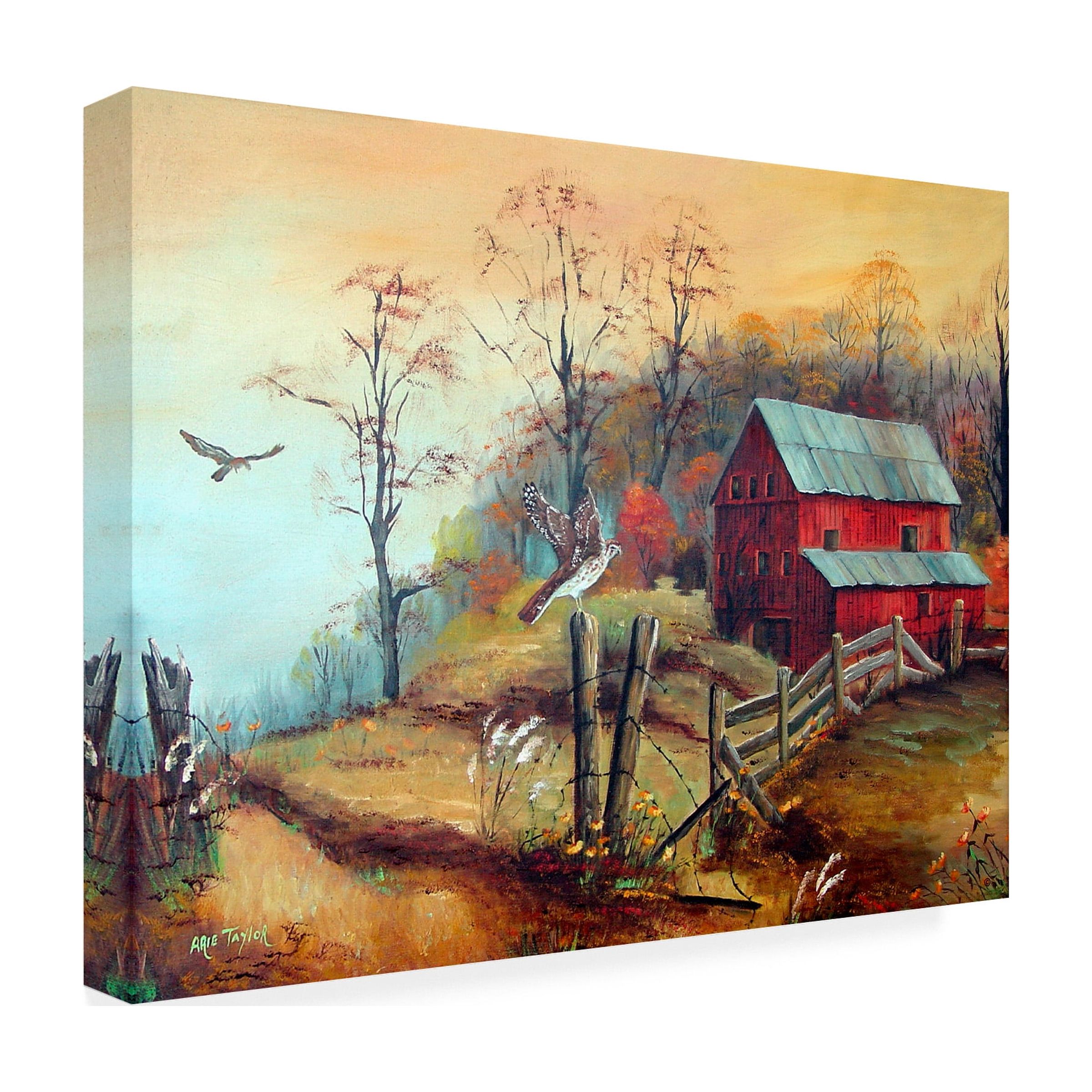 Trademark Fine Art Arie Reinhardt Taylor The Red Barn And The Hawk Canvas Wall Art - 24x32