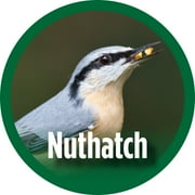 Wild Wings Farmhouse Cedar Bluebird House, White