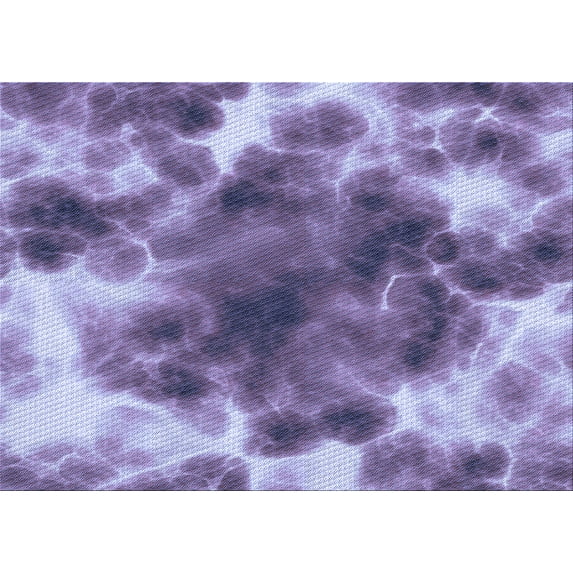 Ahgly Company Indoor Rectangle Patterned Purple Mimosa Purple Area Rugs, 3' x 5'