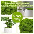 thumbnail image 3 of Musgo artificial Aspamms para plantas en macetas de interior, 150 g, 3 of 7