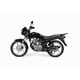 thumbnail image 5 of Motocicleta de Trabajo Haojue Dm150 Negro 2026, 5 of 7