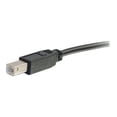 thumbnail image 5 of C2G "Y" Cable - USB cable - USB Type B (M) to USB, USB (power only) (M) - USB 2.0 - 6 ft - molded - black, 5 of 5