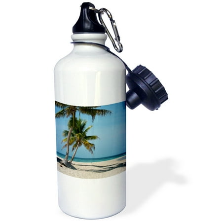 3dRose Belize. Palm tree and white sand beach at Goff Caye., Sports Water Bottle,
