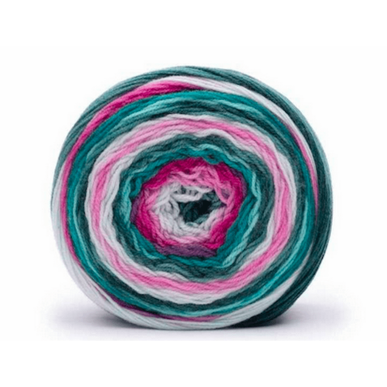 Caron Skinny Cakes Frosted Mint Acrylic Knitting & Crochet Yarn - Flying  Bulldogs, Inc.