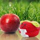 thumbnail image 4 of Gift, Positive Apple Gift, Positive Apple, Good Luck Gifts,New Beginnings Gift, Inspirational Gifts Funny Knitted Wool Doll Gift for, 4 of 5