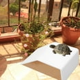 thumbnail image 1 of Ramp Platform, Reptile Ladder  Climbing Ramp Stable  Basking Platform Ramp Aquarium Anti Slip Slope  Platform For  Fish   Decor Accessories, 1 of 8