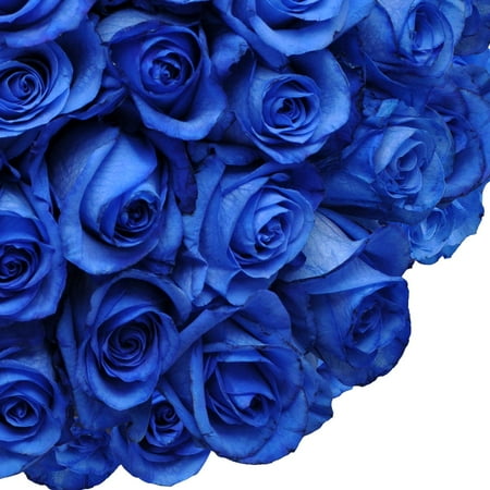 natural fresh flowers tinted blue roses 20 50 stems walmart com