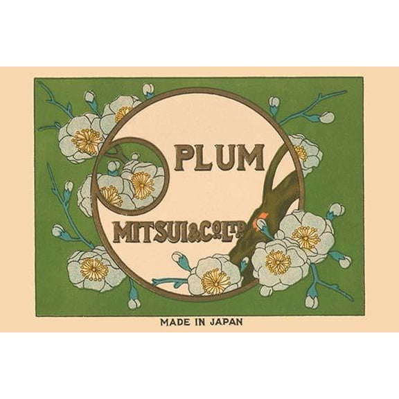 Special Selection Plum by Matsui-Fine Art Canvas Print (20" x 30")