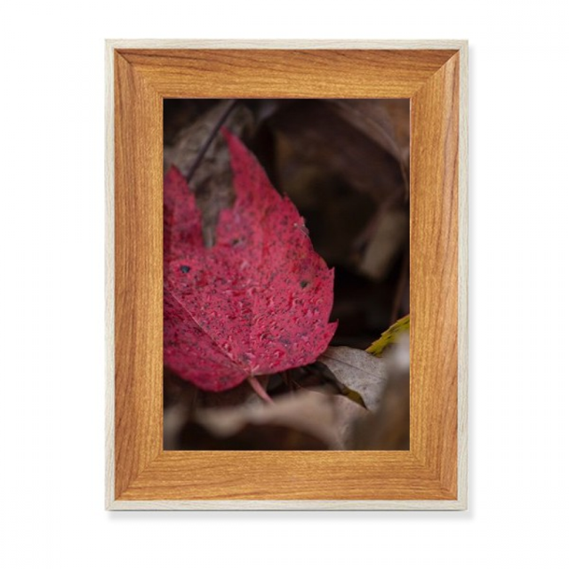 Simpol Red Maple Picture Desktop Wooden Photo Frame Display Picture Art Painting Multiple Sets