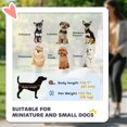 thumbnail image 3 of Pet Stroller with 3 Wheels, One-click Folding Design, Adjustable Canopy, Zippered Mesh Window Door, Grey, 3 of 6