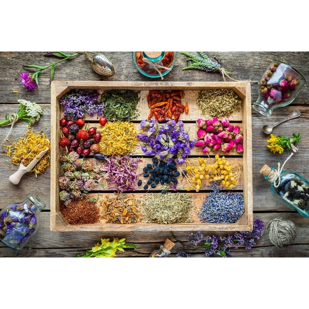 Essential Oils Garden Seed Kit Grow Peppermint, Tea Tree, Lavender