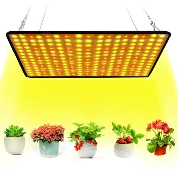 Indoor Grow Lights