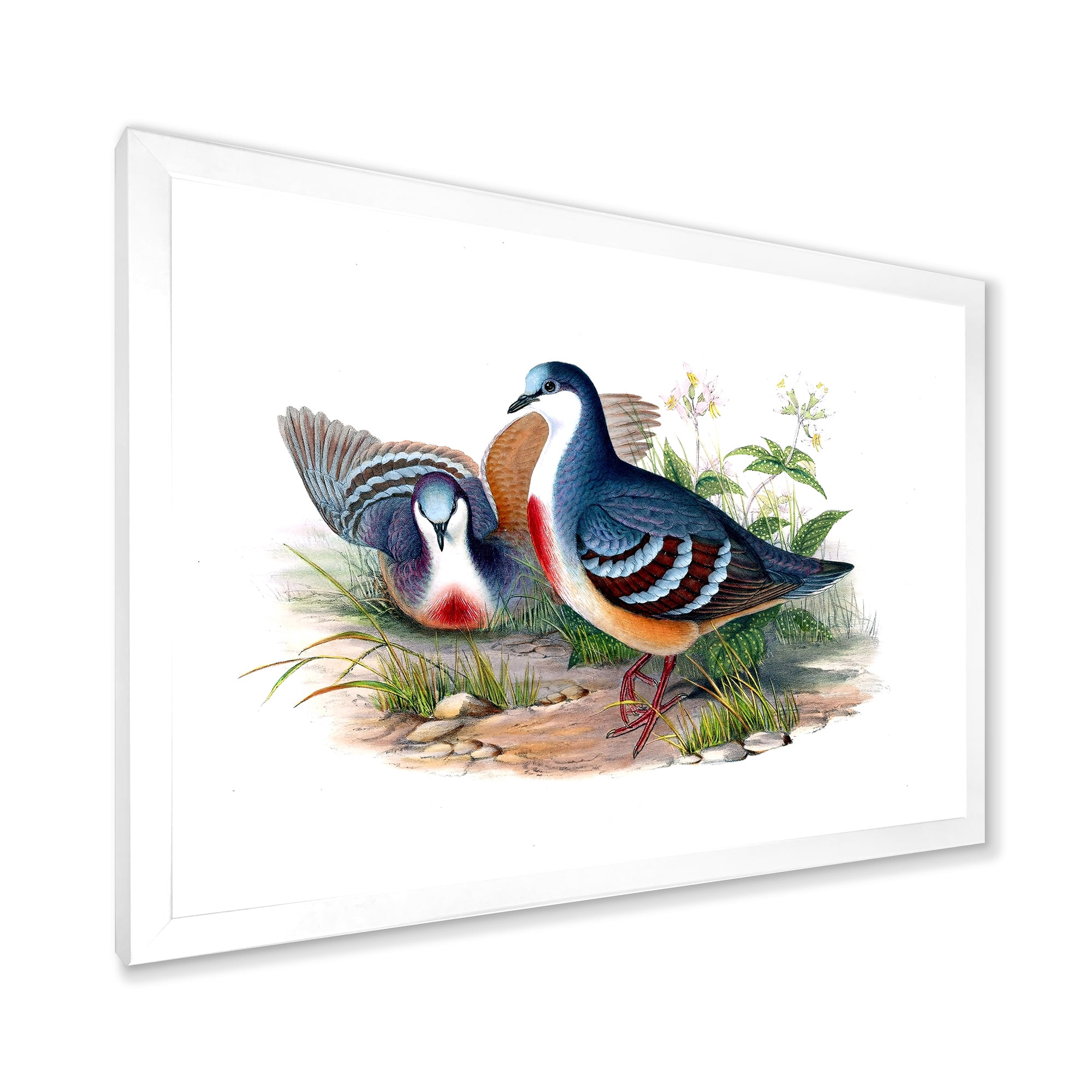 Designart 'Ancient Birds In The Wild IV' Traditional Framed Art Print