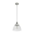 thumbnail image 5 of Hunter - Cypress Grove 1-light Brushed Nickel, Small Pendant Light, Dimmable, Transitional Style, Dome Shaped, for Bedrooms, Dining, Living Rooms - 19328, 5 of 8