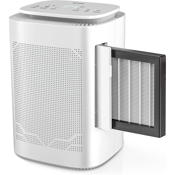 Dehumidifier And Air Purifier Combo