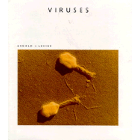 Viruses/Sal 37 (Hardcover) by Arnold J Levine