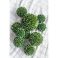 thumbnail image 3 of A&B Home 8.5" Faux Boxwood Topiary Ball - Green-Color:Green,Style:Botanical, 3 of 7