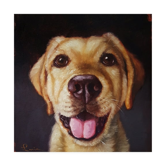 Trademark Fine Art 'Follow Your Nose 13' Canvas Art by Lucia Hefferna