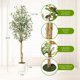 thumbnail image 3 of Qinaqin 5FT/6FT/7FT Fake Oliva Tree con Realistic Fau x Silk Leaves Blanco Planter Pot Natural Madera Trunk, 3 of 5