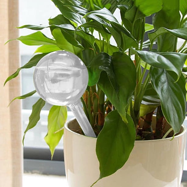 4 Globes D'Arrosage Automatique Oiseau - Abreuvoir Plantes Intérieur Extérieur