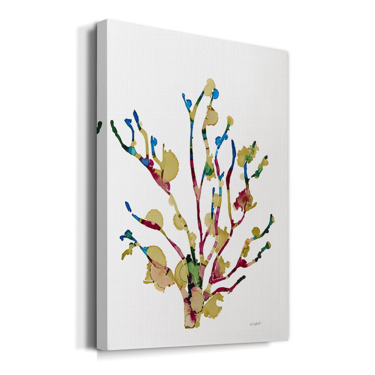 Sea Coral III Premium Gallery Wrapped Canvas - Ready to Hang