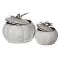 thumbnail image 1 of Metal White Pumpkin Jar With Lid Set Of 2, 1 of 3