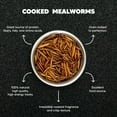 thumbnail image 2 of Premium Feeders Dried Mealworms - 3LB Bag With 48,000+ Worms - High Protein Treat For Chickens, Birds, Reptiles & Small Pets 2 of 13