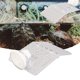 thumbnail image 5 of Base para tanque de tortugas diseño de rampa Plataforma para tortugas fácil de limpiar Succión fuerte con comedero para ranas ANGGREK Otros, 5 of 8