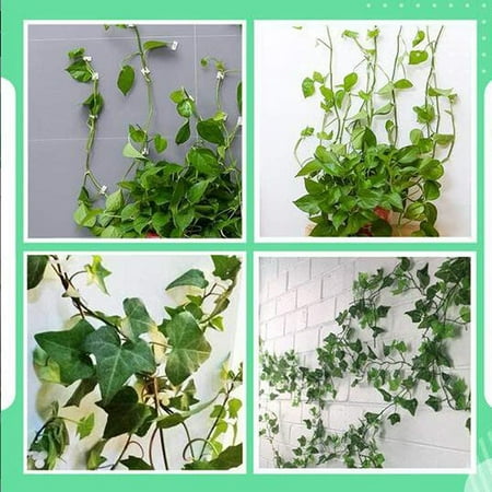 geniwo 50pcs lzndeal vines invisible