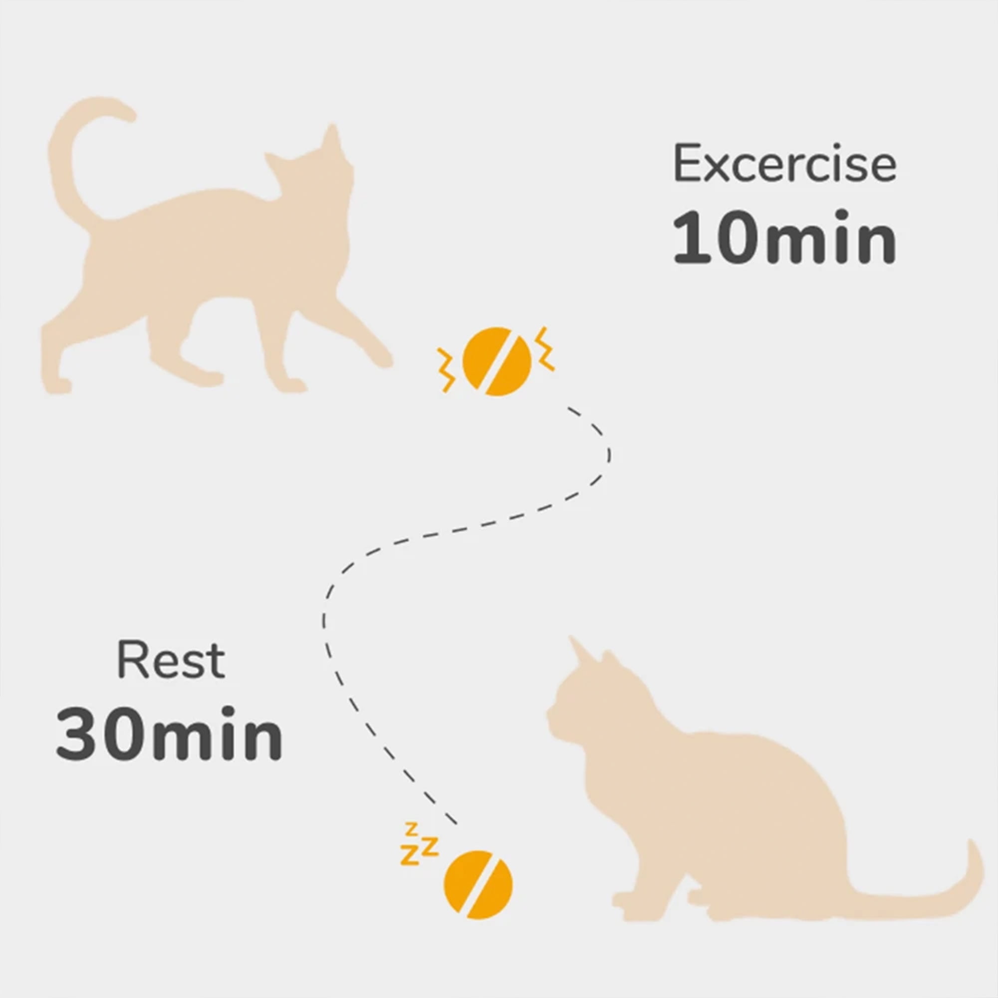 Cheerble Ball: Tiny Smart Ball for Your Cat's Entertainment