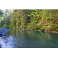thumbnail image 2 of Jaynes Gallery 24x17 Gold Ornate Wood Framed with Double Matting Museum Art Print Titled - USA-Washington State-Olympic National Forest Duckabush River landscape, 2 of 4