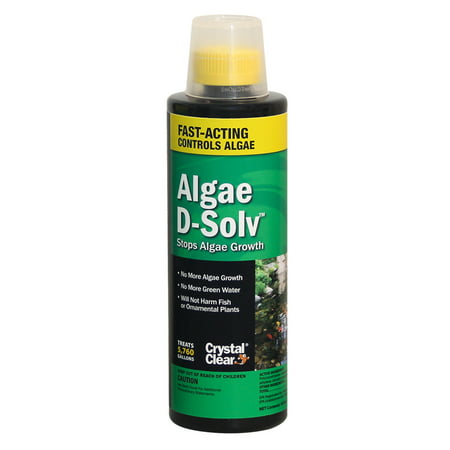 CrystalClear Algae D-Solv 16 oz (Best Way To Remove Algae From Concrete)