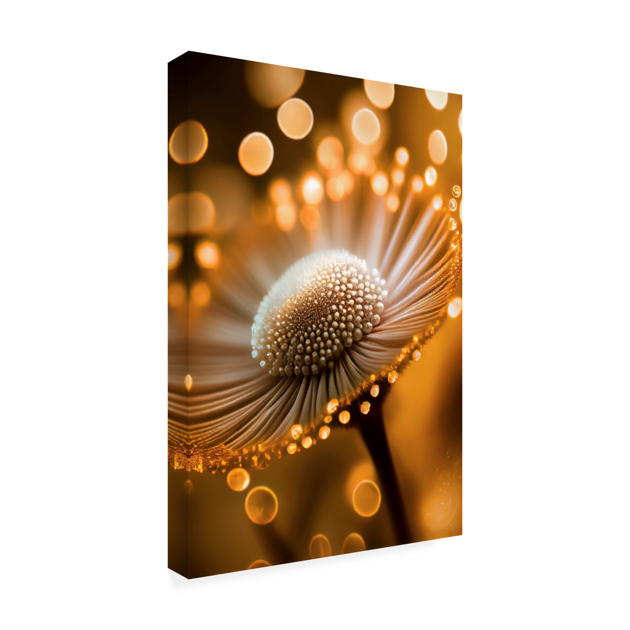 Canvas Wall Art - Treechild 'Golden Hour' Wall Art for Living Room, Bedroom, or Office D?cor by Trademark Fine Art - 30 x 47 Inches