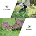 thumbnail image 3 of Miangastore 1 Set Bunny Vest Harness and Leash Creative Rabbit Suit Useful Pet Supplies, 3 of 8