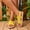 Yellow, variant on Women's Fashion Roman Mesh Sandals Casual Summer New Solid Color Flat Sandals Lightweight Elastic Breathable Sandal Shoes