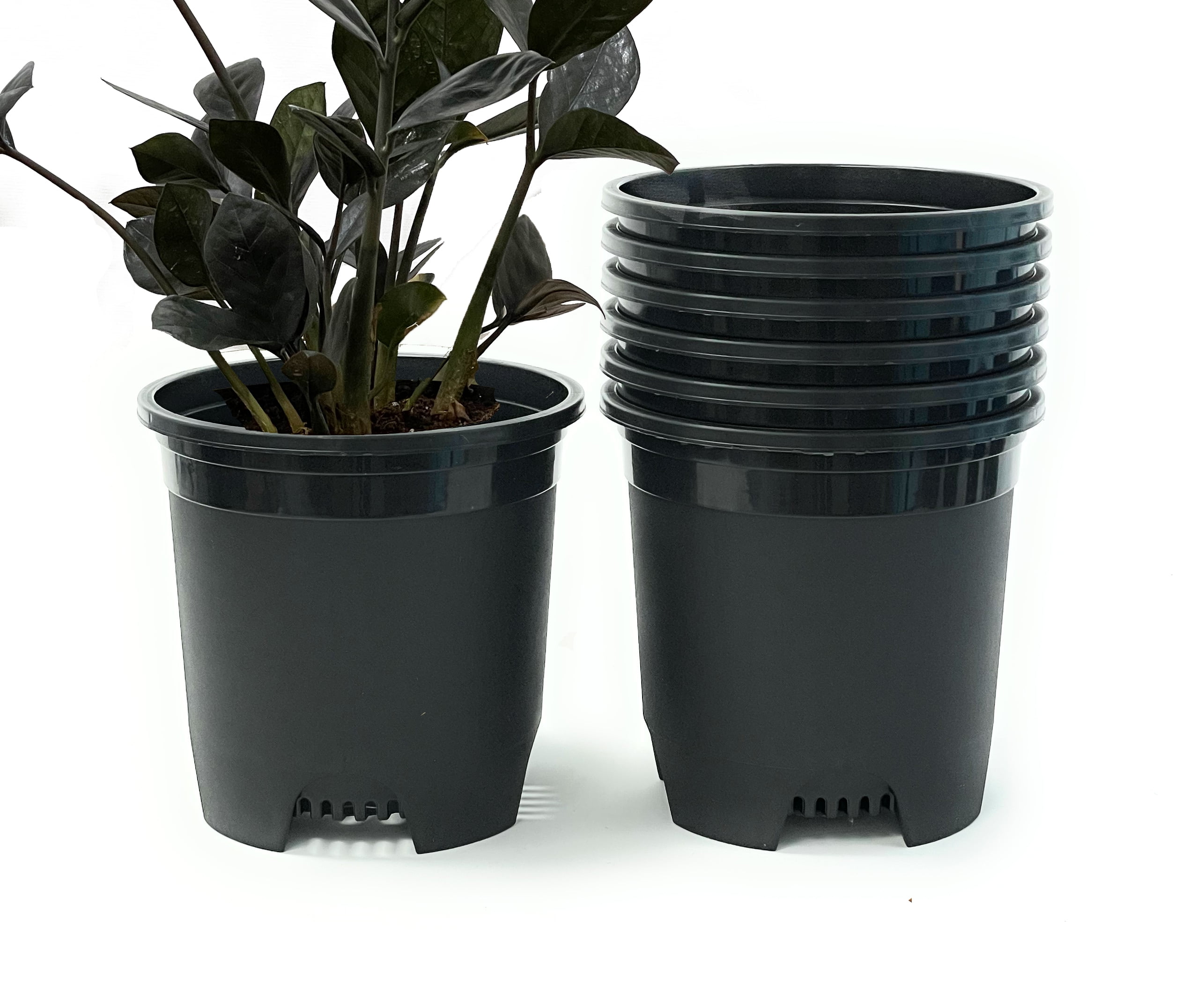 Cotta Planters 10-Pack 2 Gallon, 9" Plastic Nursery Plant Pots, Heavy Duty  BPA-Free Recycled Plastic, Black - Walmart.com