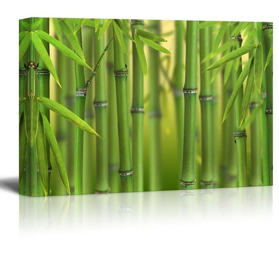 Wall26 Green Bamboo Trees With a Leaves - Canvas Art Home Decor - 12x18 inches