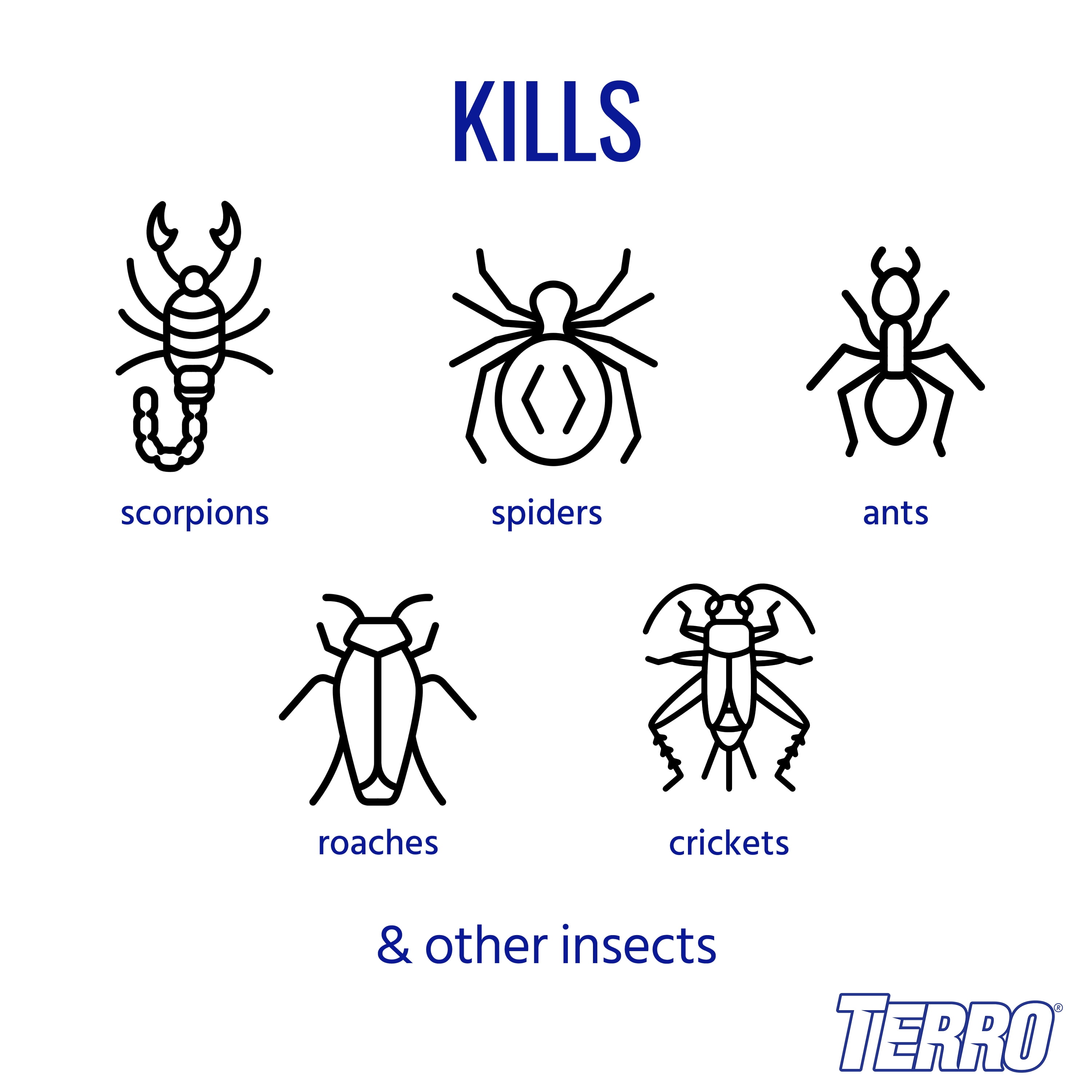 Terro 16 oz. 2-Way Spray Aerosol Spray Scorpion & Spider Killer T2102-6