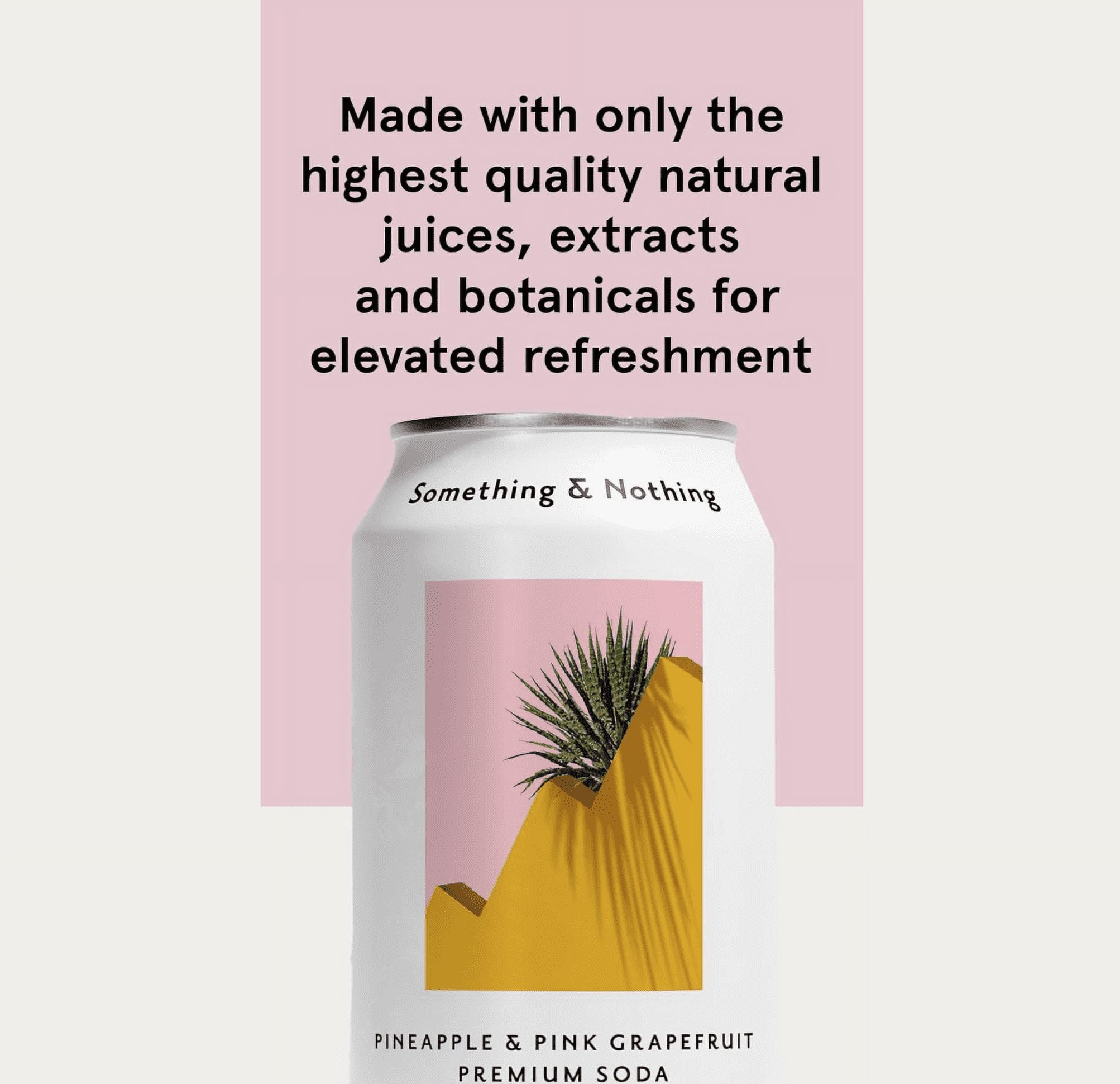 Something & Nothing Lightly Carbonated Pineapple & Pink Grapefruit Premium Soda Case of 12 x 12 Fl Oz