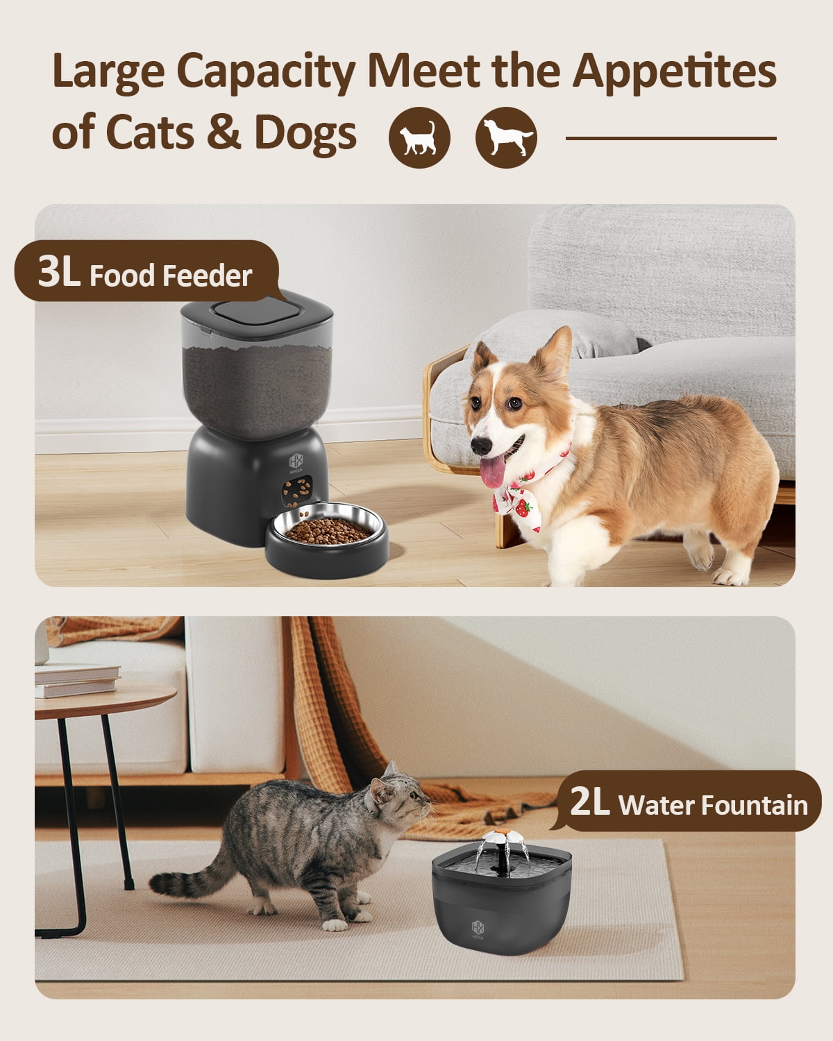 Automatic Cat Feeder and Water Dispenser Set with Pet Food Bowl, Smart Cat Food Timer Automatic Feeder, Locking Lid, Voice Recorder (Black)