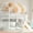 White, variant on Newest Full Size Bunk Bed Solid Wood for Bedroom with Canopy, Slide and Bookshelves, White
