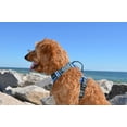 thumbnail image 5 of The Comfort Dog Harness With Mesh Padded Vest Blue- Medium Breeds, 5 of 7