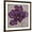 Brown Frame, variant on Art.com Black Plum 2 Stretched Canvas Print Wall Art by Ariane Martine, 30" x 30"