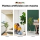 thumbnail image 4 of Planta Pandurata 1.80 cm con Maceta Artificial, 4 of 5