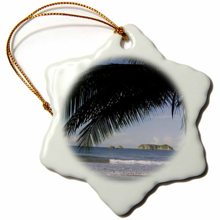 3dRose Beach palm tree, Manuel Antonio, Costa Rica - NA02 RNU0092 - Rolf Nussbaumer, Snowflake Ornament, Porcelain,