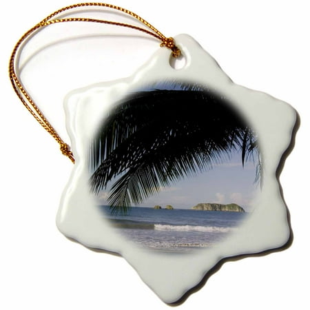 Palm Costa Rica 3dRose Beach palm tree, Manuel Antonio, Costa Rica - NA02 RNU0092 - Rolf Nussbaumer, Snowflake Ornament, Porcelain, 3-inch ()