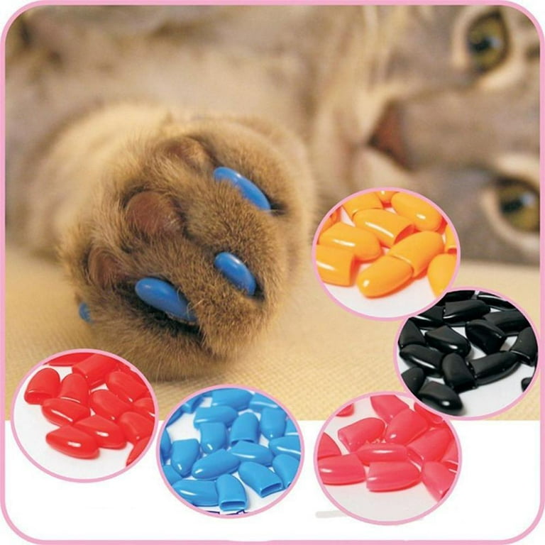 Kitty caps walmart sale