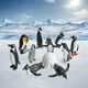 thumbnail image 3 of de Familiares de Juguete de Pingüino Animal Marino de Simulación de Plástico Piezas, de Juguetes Educativos para , Cole CUTICAT Animales salvajes, 3 of 7