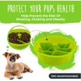 Mighty Paw Slow Feed Dog Bowl Insert Interactive Puzzle Maze Feeder