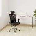 ZenZone Ergonomic Office Chair Adjustable Desk Chair with Lumbar Support and Rollerblade